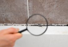 Ensure a Safe Home with Professional Mold Testing in Oldsmar, FL Mold Testing Oldsmar FL