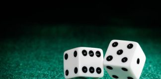 Cricketbet99: The New Buzz in Online Cricket Betting Cricketbet99
