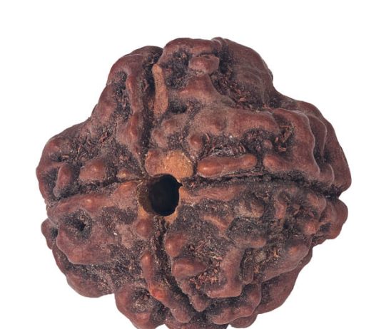 Harnessing the Unique Benefits of 9 Mukhi Rudraksha for Stress Relief and Mental Clarity benefits of 9 mukhi rudraksha