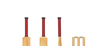Cricbet99 Is the Online Gaming Platform That’s Becoming a Favorite Choice for Players cricbet99