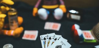 Reddybook Is That Hidden Gem Betting Platform You Probably Missed reddybook