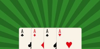Playinexch 247: Round-the-Clock Sports Betting on the Exchange Playinexch 247